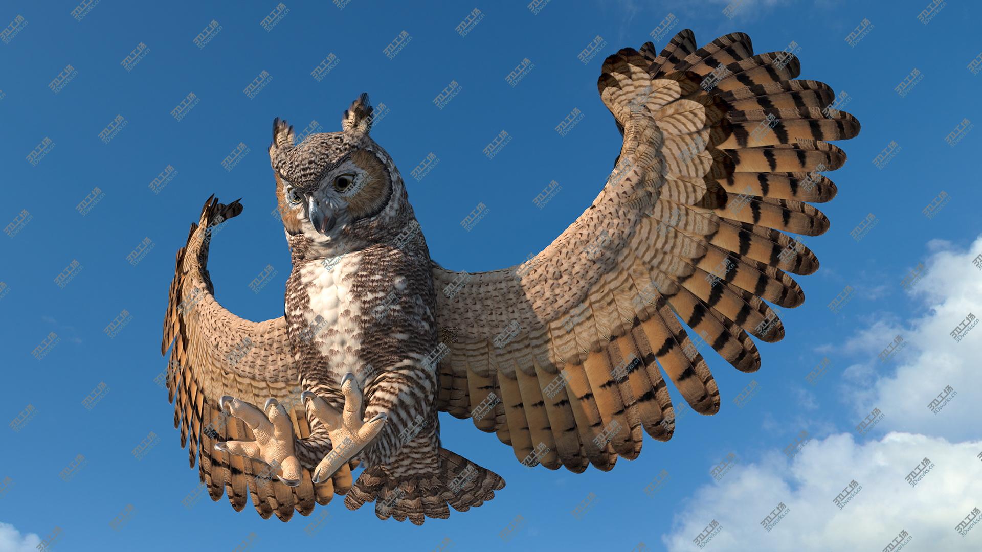 images/goods_img/2021040164/Great Horned Owl Attacking Pose 3D model/4.jpg